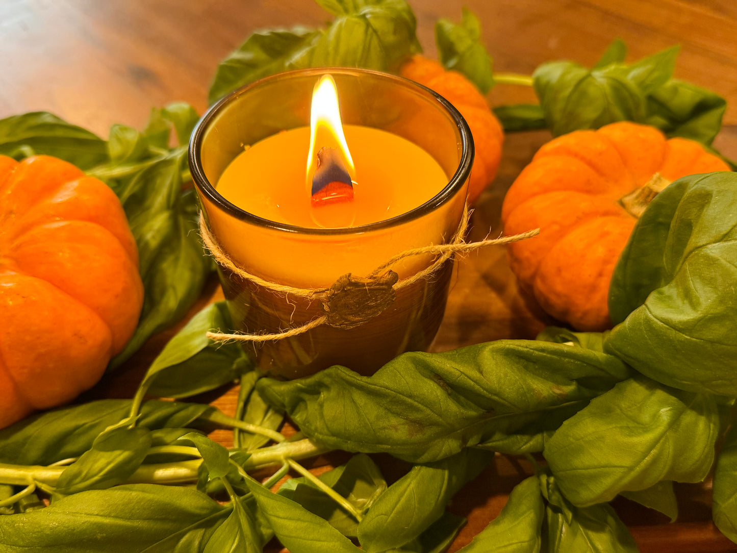 Letters from the Porch